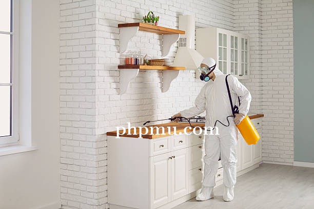 Tips Memilih Jasa Anti Rayap yang Tepat di Jogja